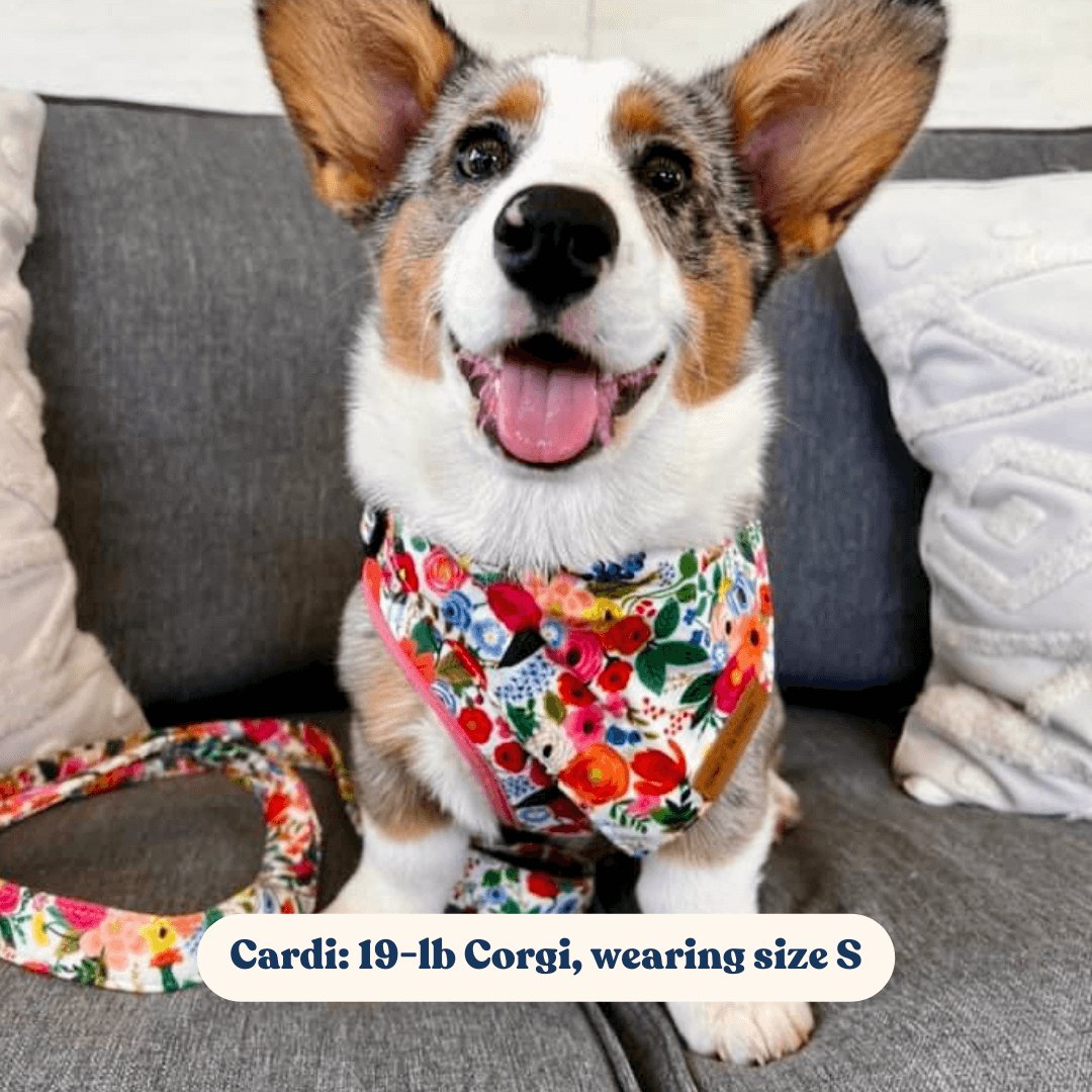 Morning Floral Lockable Harness™