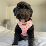 Peach Blush AllSet™ Harness Matching Bundle
