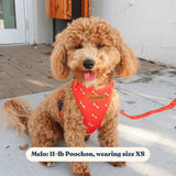 Coral Fetch AllSet™ Harness – Adjustable Bliss (D Ring)