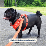 Coral Fetch AllSet™ Harness – Adjustable Bliss (D Ring)
