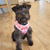 Strawberry Shortcake AllSet™ Harness Matching Bundle
