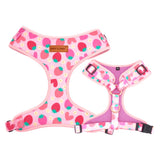 Strawberry Shortcake Signature Bloomtie™ - Mega Bundle
