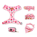 Strawberry Shortcake Dappertie™ - Mega Bundle Match