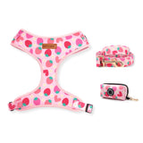 Strawberry Shortcake AllSet™ Harness Matching Bundle