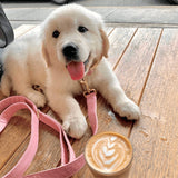Baby Pink Joyline™ Leash – 100 % Cotton Shell