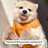 Ambar Suns AllSet™ Harness Matching Bundle