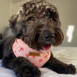 Peach Blush AllSet™ Harness Matching Bundle
