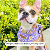 Purple Daisy AllSet™ Harness – Adjustable Bliss