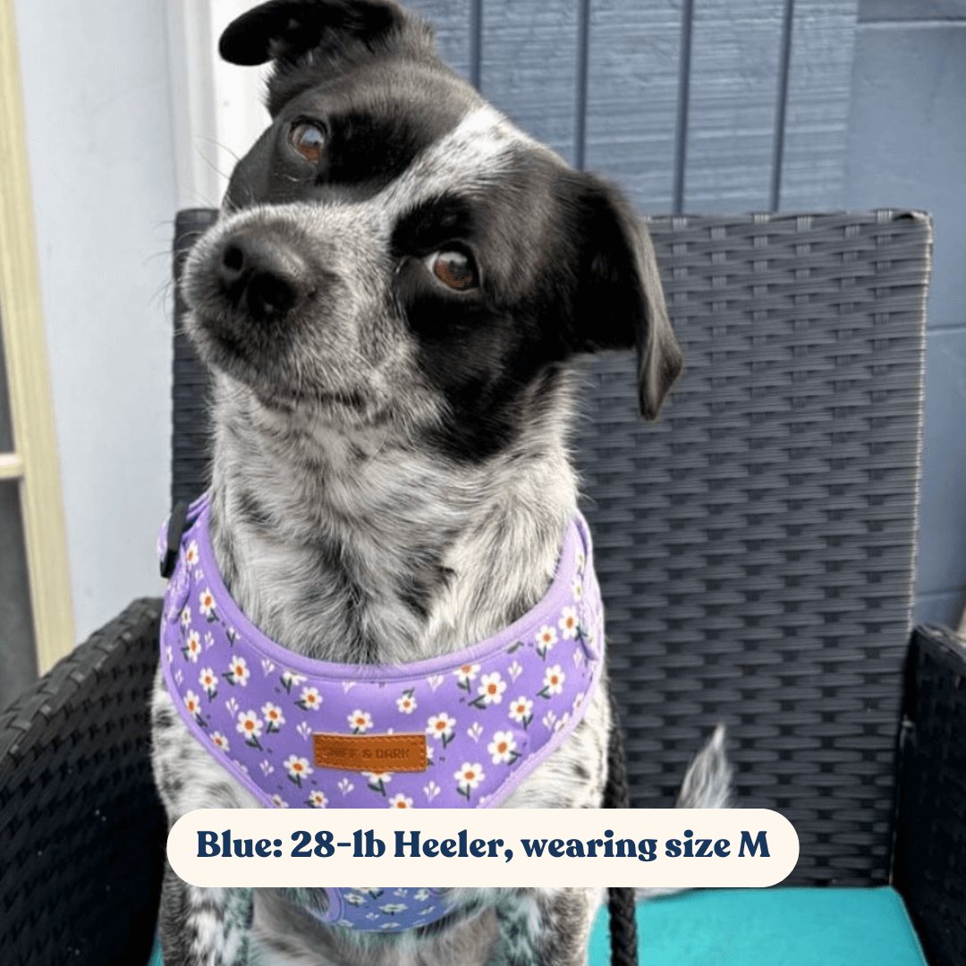 Purple Daisy Lockable Harness™