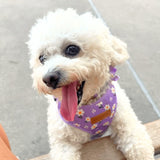 Purple Daisy AllSet™ Harness – Adjustable Bliss