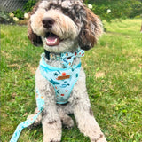 Sea World Signature Band™ - Crafted Collar