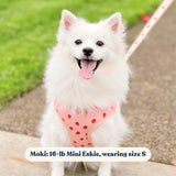 Rosie Strawberry AllSet™ Harness Matching Bundle