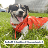 Coral Fetch Reversible Zoomies Rain Vest™
