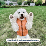 Ambar Suns Reversible Cozy Fleece Vest™