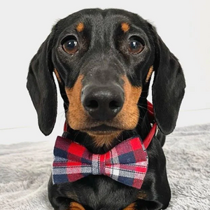 Red Plaid Bow Tie Unbreakable Collar™