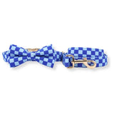 dog collar and leash