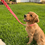 Checker Pink Joyline™ Leash – 100 % Cotton Shell