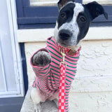 Checker Pink Joyline™ Leash – 100 % Cotton Shell