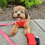 Checker Pink Joyline™ Leash – 100 % Cotton Shell