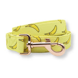 cute dog leashes