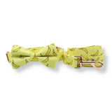 dog leash and collar set