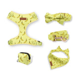 dog harness and leash set