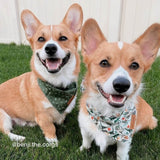 Small Dog Bandana