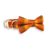 bow tie collar for dogs