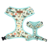 best dog harness