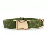 Playground Signature Band™ - Crafted Collar