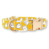 designer dog collars