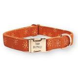 Ambar Suns Signature Band™ - Crafted Collar
