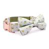 bow tie collar for dogs