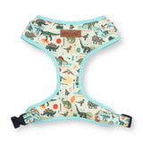 cute dog harnesses