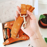 Ambar Suns Signature Band™ + Slide-On Bloomtie™ + Joyline™