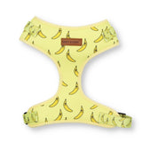 best escape proof dog harness