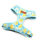 Sunny Lemons Dappertie™ - Mega Bundle Match
