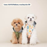 dog rain clothes