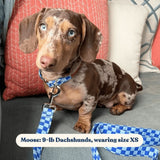 Checker Blue Joyline™ Leash – 100 % Cotton Shell