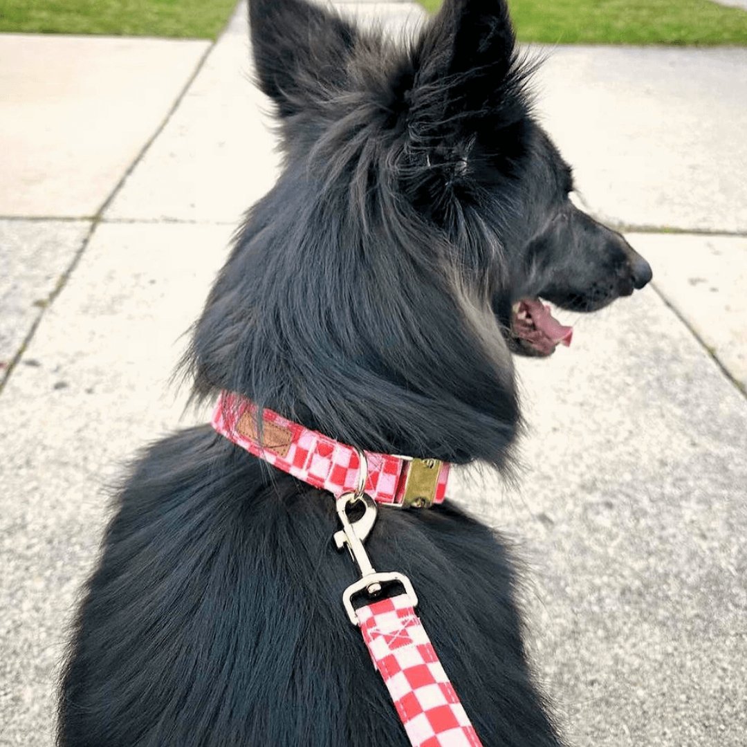 Checker Pink Bow Tie Unbreakable Collar™