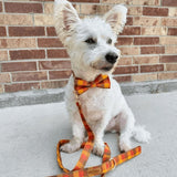 Cinnamon Spice Plaid Signature Band™ - Crafted Collar