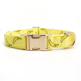 luxury dog collars