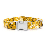 luxury dog collars