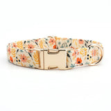 best dog collar