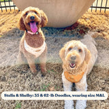 Rainbows AllSet™ Harness Matching Bundle