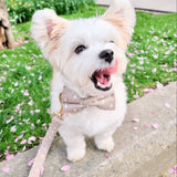 Lightnings Joyline™ Leash – 100 % Cotton Shell