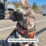 Midnight Floral AllSet™ Harness Matching Bundle