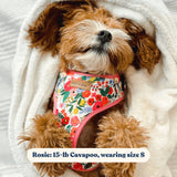 Morning Floral AllSet™ Harness – Adjustable Bliss