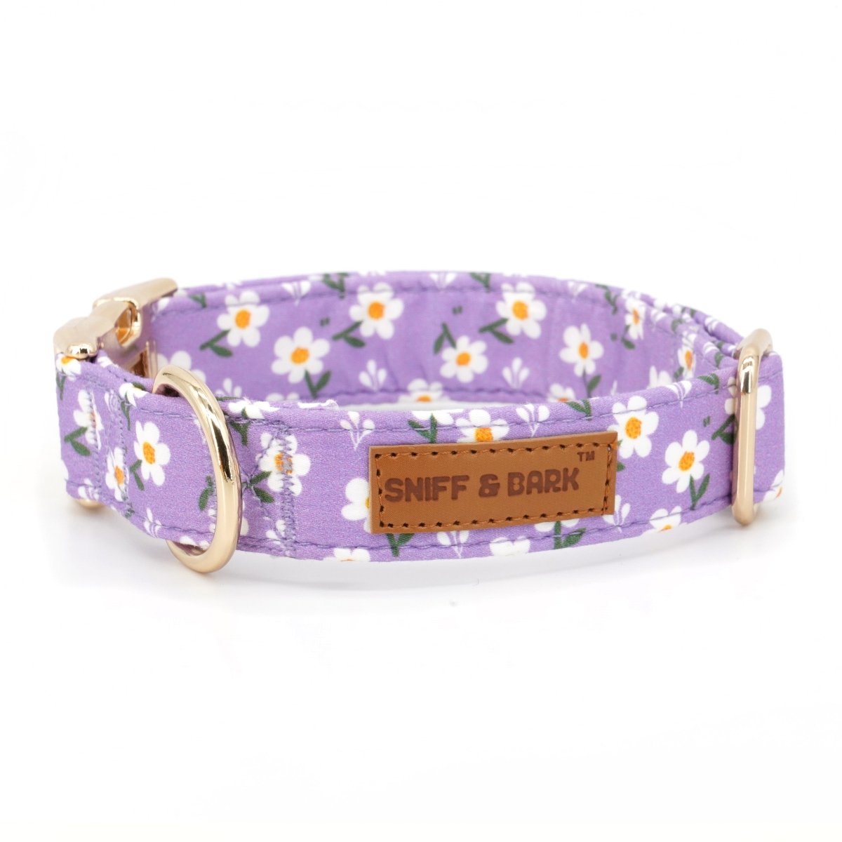 Cute Super Safe Hardware Buckle Collar with Detachable Flower