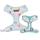 best dog harness
